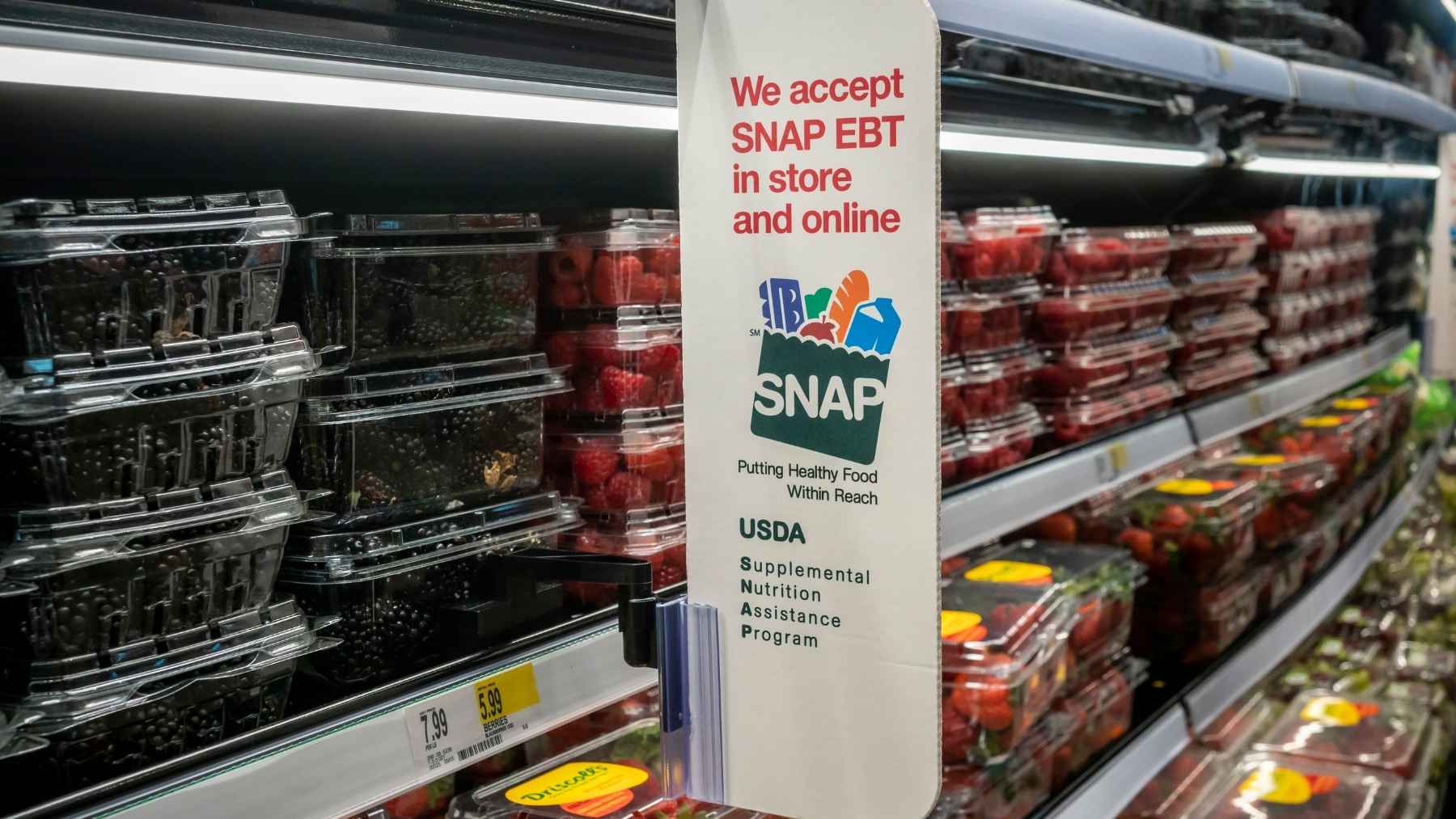 SNAP Food Stamps