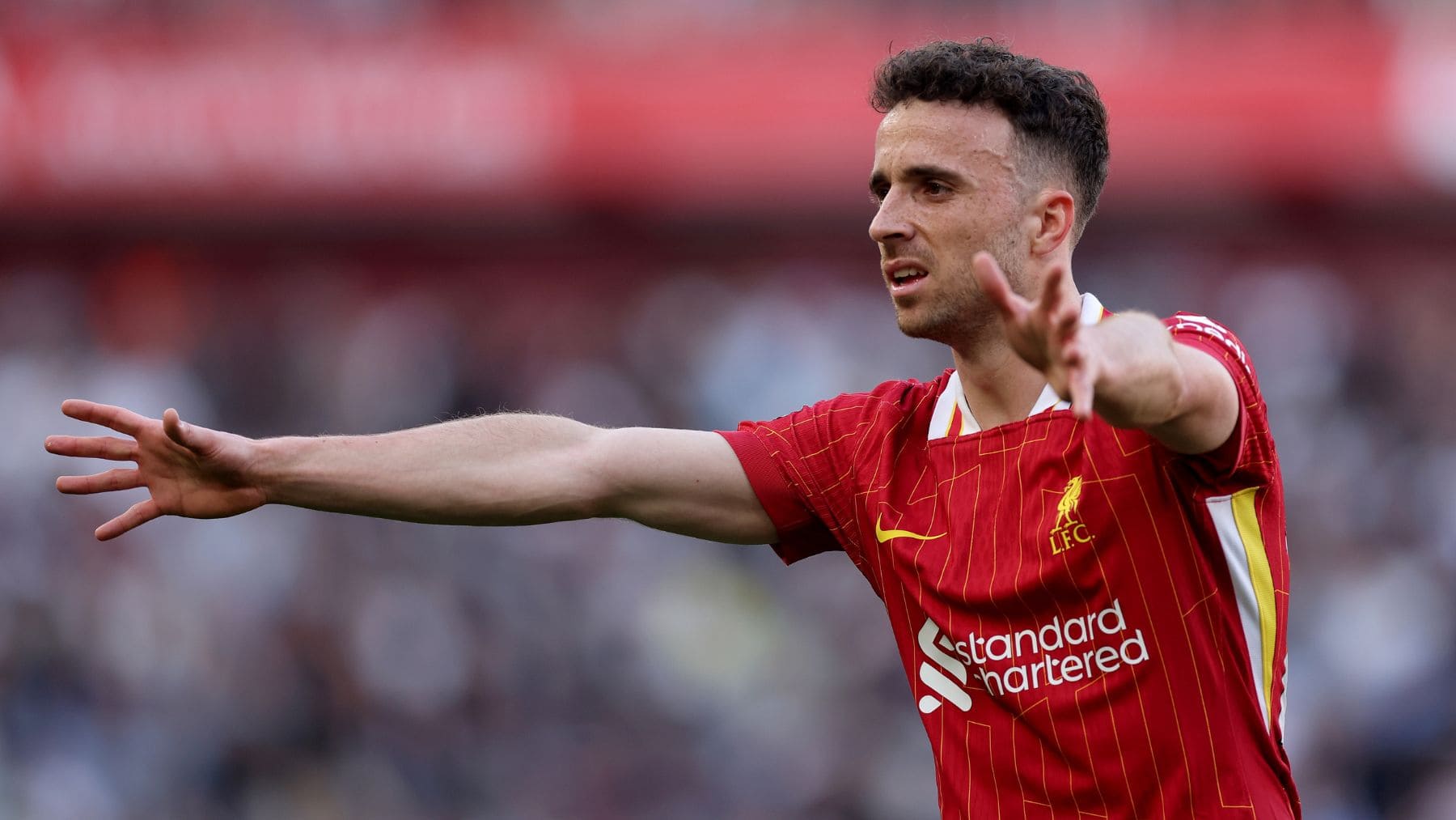 Diogo Jota in Portugal kit downcast
