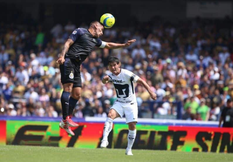 Foto vía: Twitter.com/ELBPumas