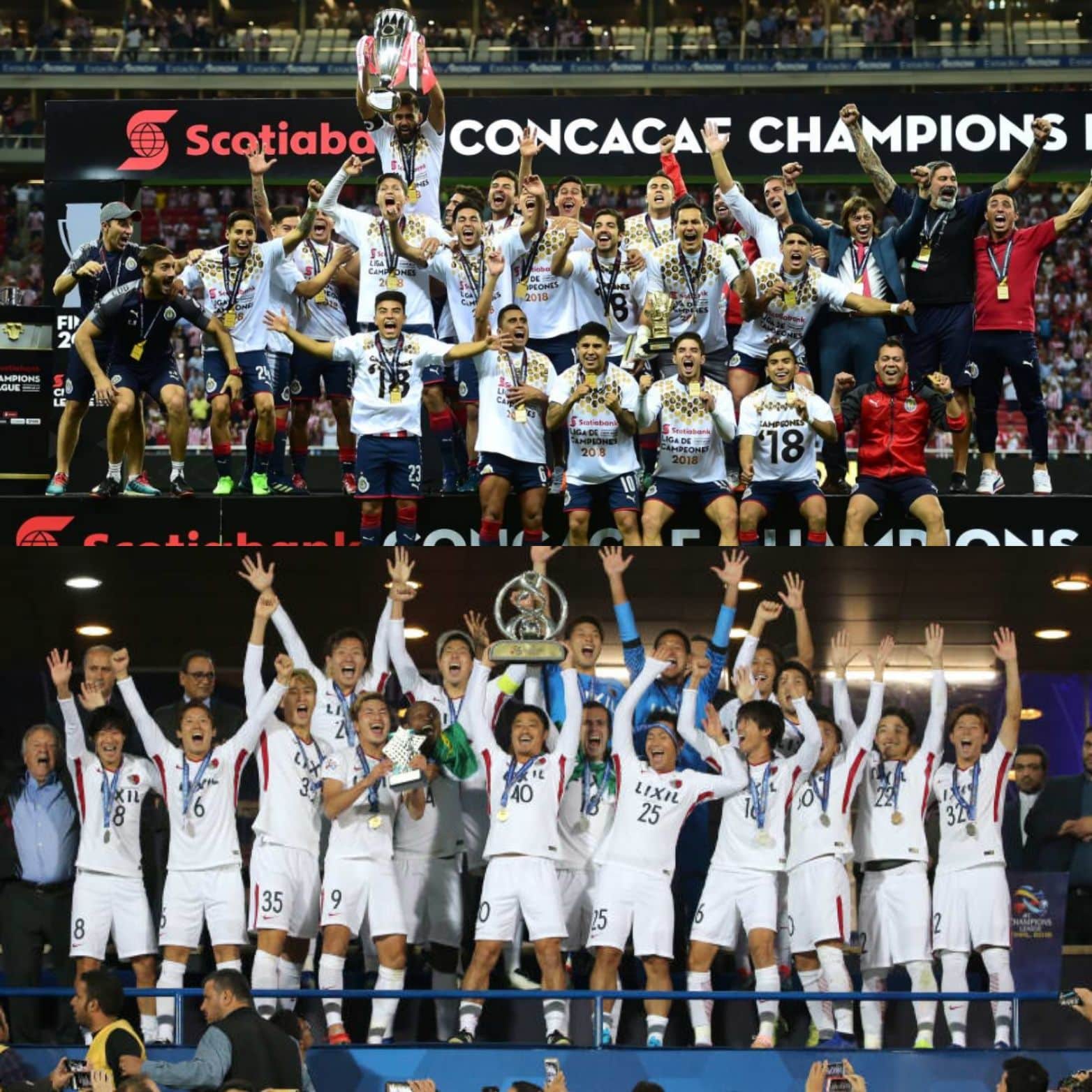 Campeones en sus confederaciones