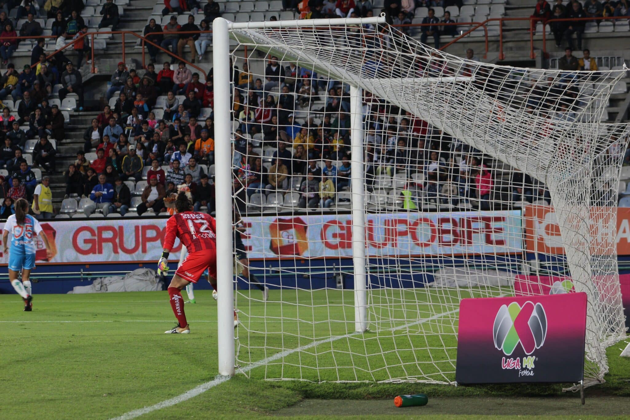 Ligamxfemenil-grada3