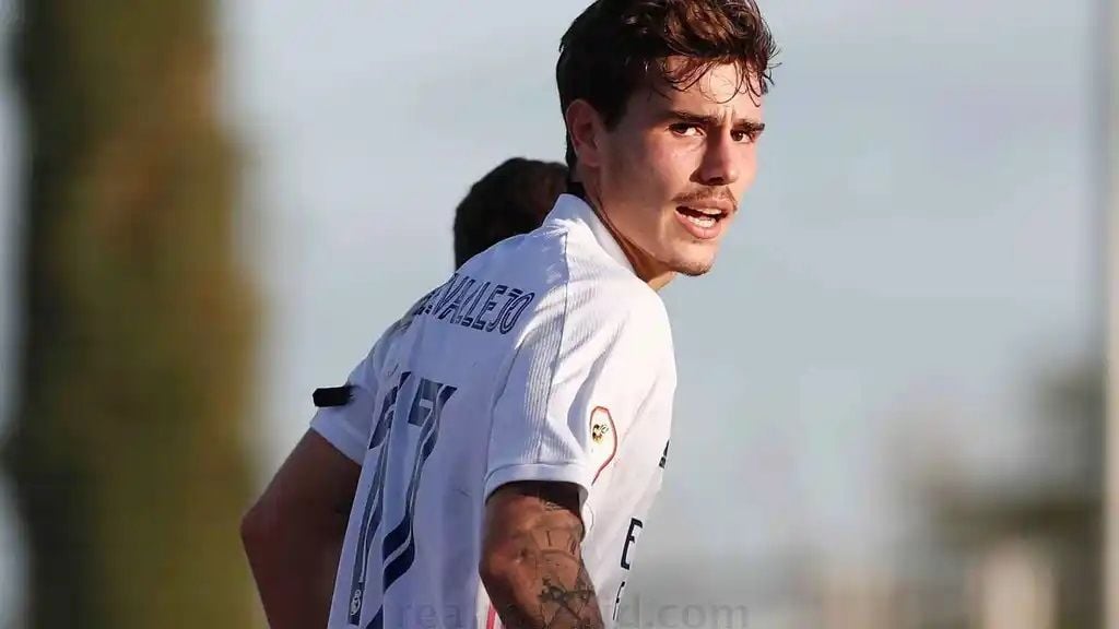 Hugo Vallejo. Castilla