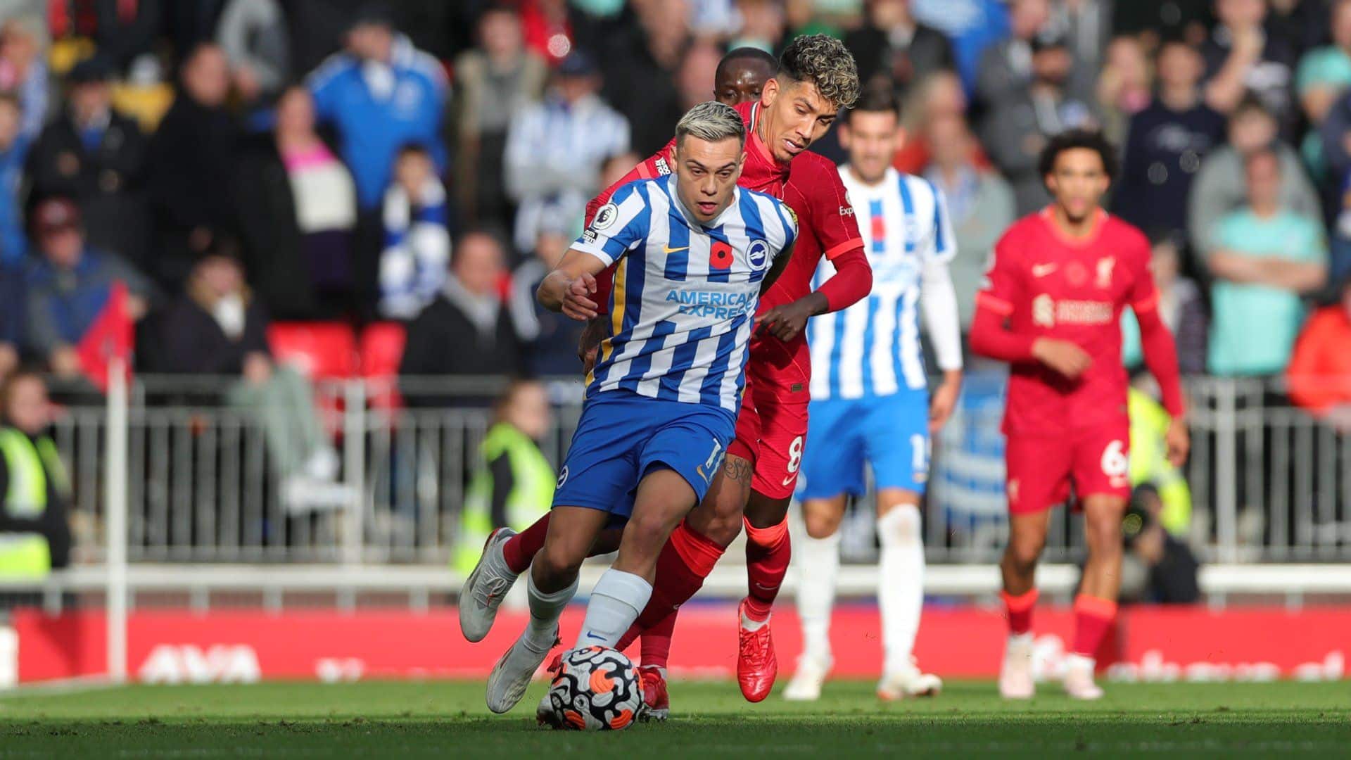 Fuente: brightonandhovealbion.com