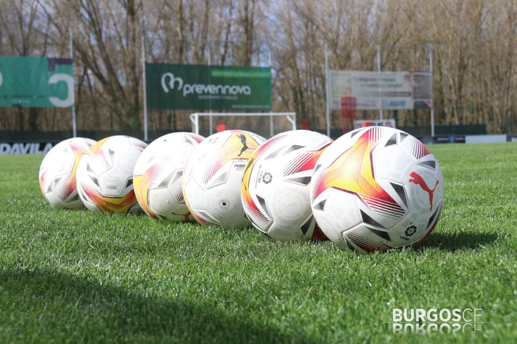 Foto: Burgos CF