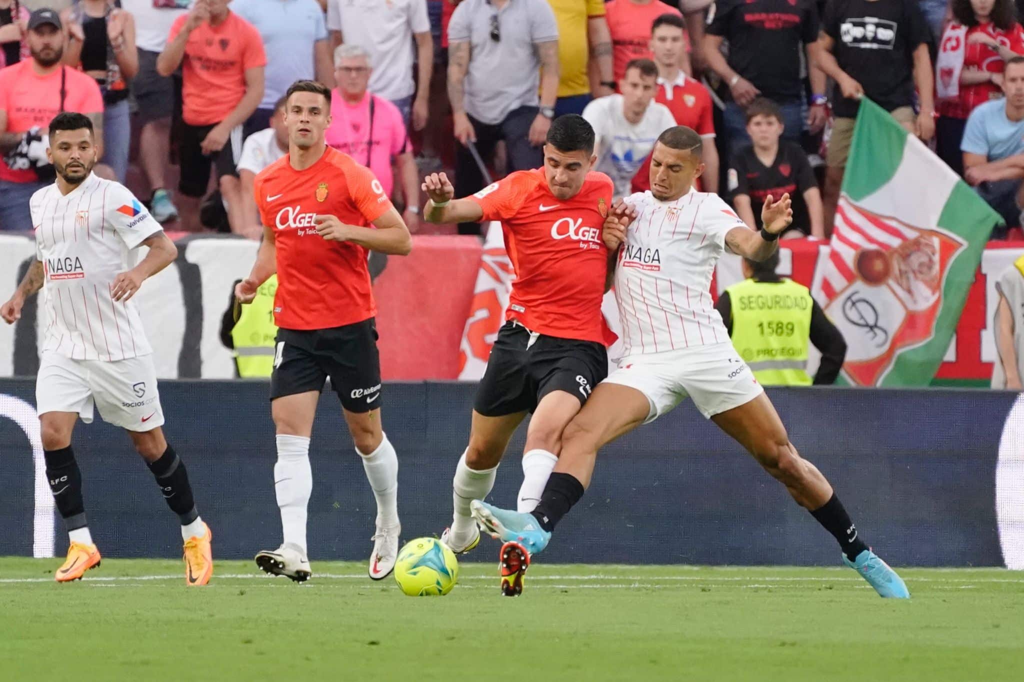 Foto: RCD Mallorca