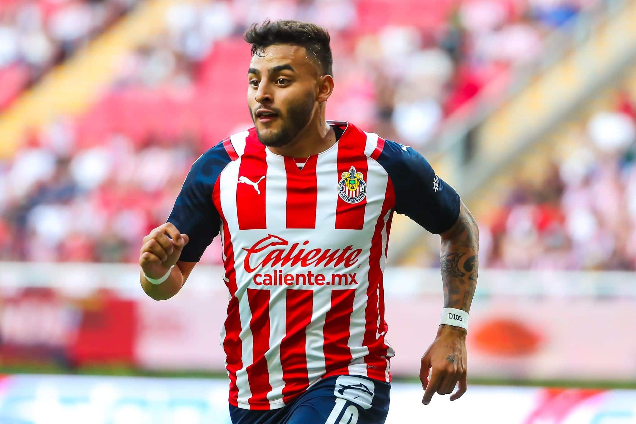 Foto; Chivas