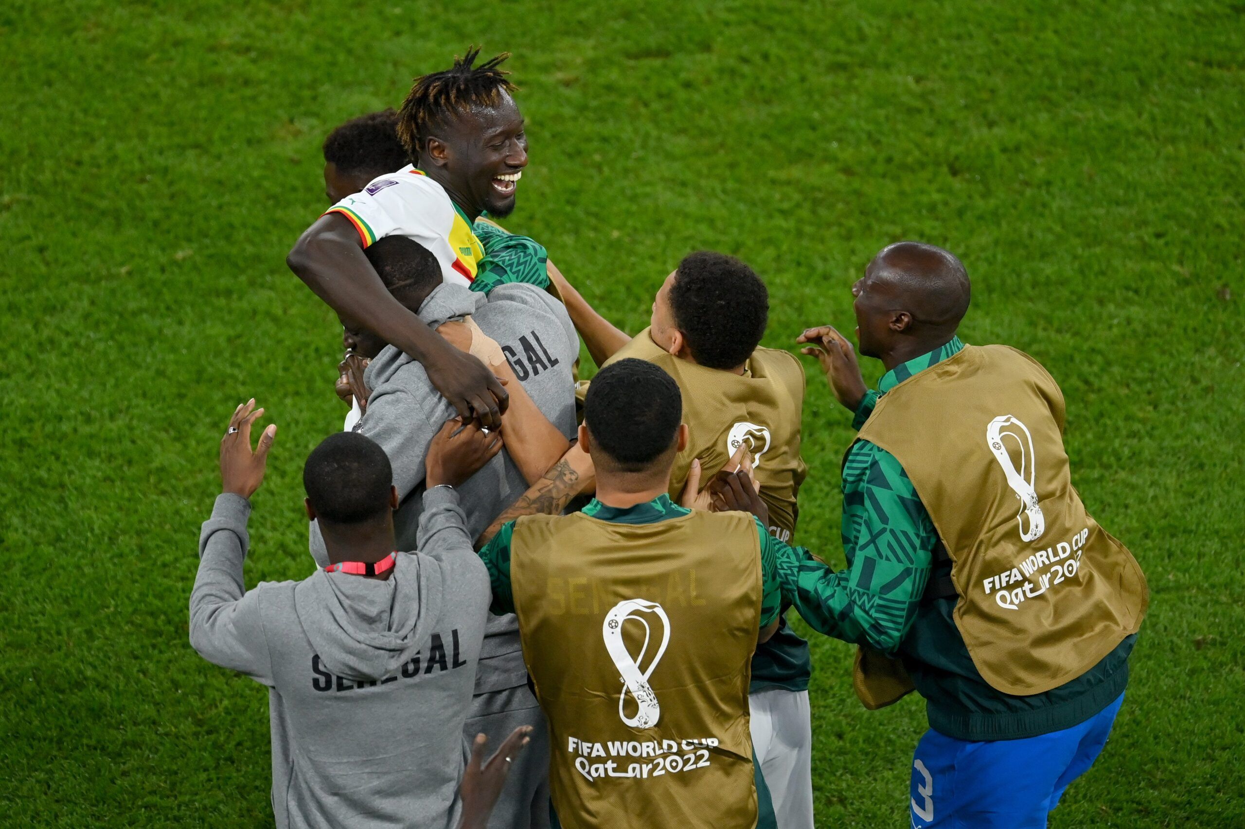 Senegal celebra el 0-2 en su victoria frente a Qatar