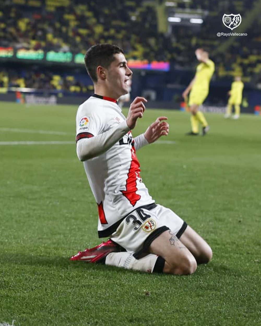 Camello
