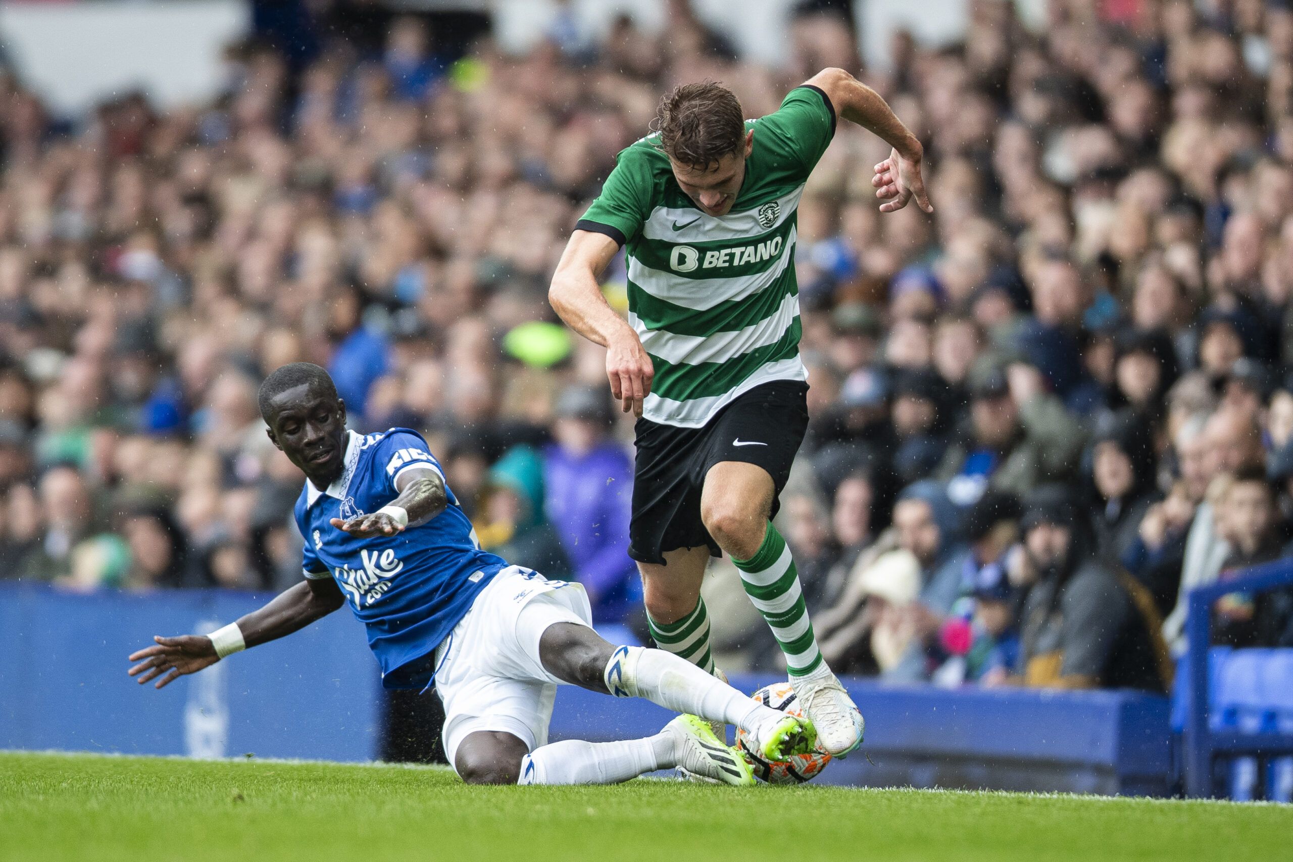 LIVERPOOL, ENGLAND - AUGUST 5: Viktor Gyökeres of Sporting CP is challenged by Idrissa Gana Gueye of Everton during the pre-season friendly match between Everton and Sporting Lisbon at Goodison Park on August 5, 2023 in Liverpool, England. (Photo by Jess Hornby/Getty Images)