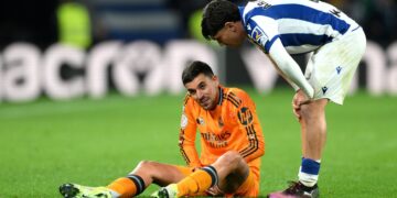 Ceballos Real Madrid