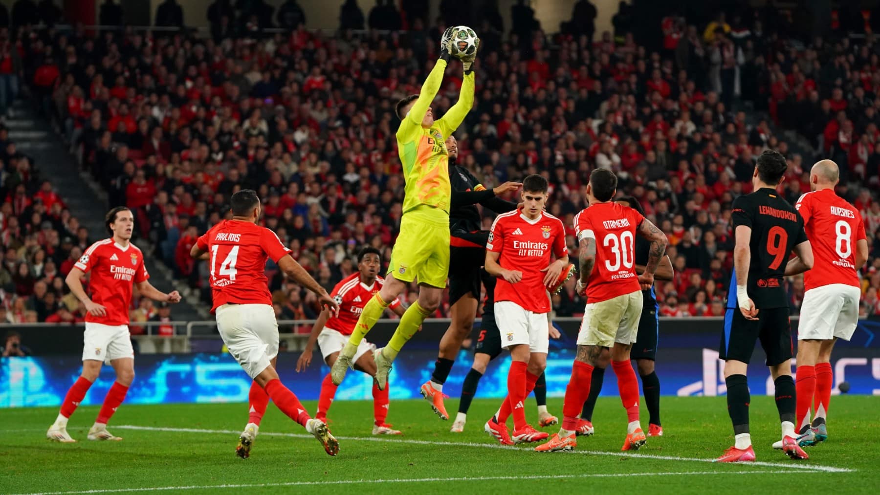 Benfica Barça