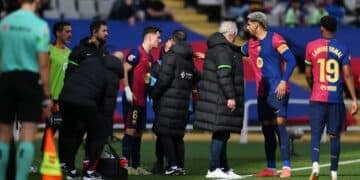 Gavi Doctor Miñarro