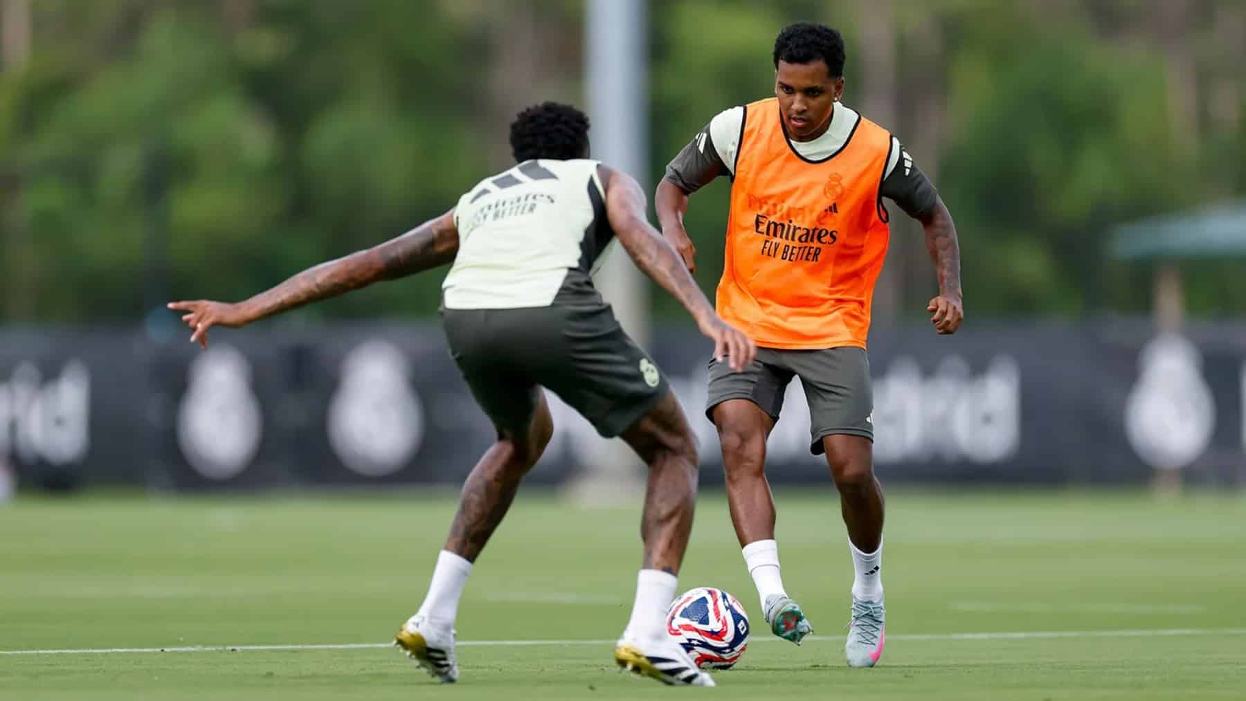 rODRYGO