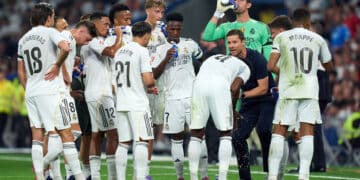 mercado plantilla madrid