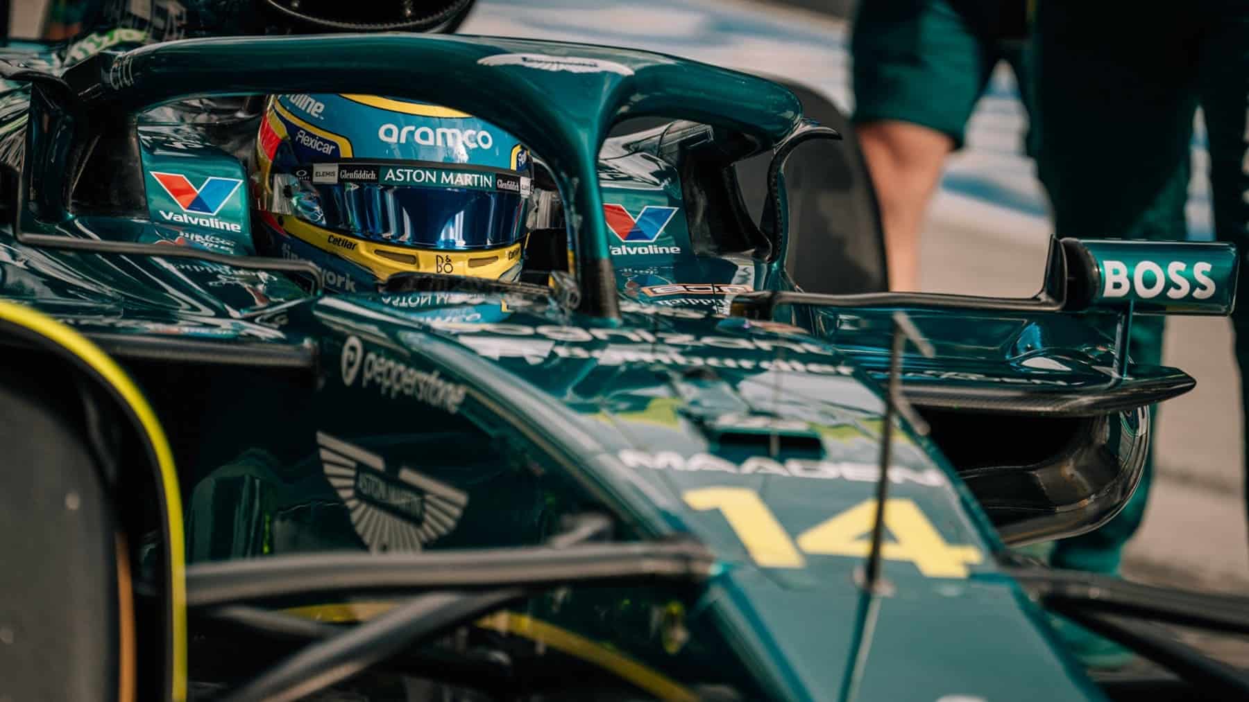 alonso cardile ganar 2026