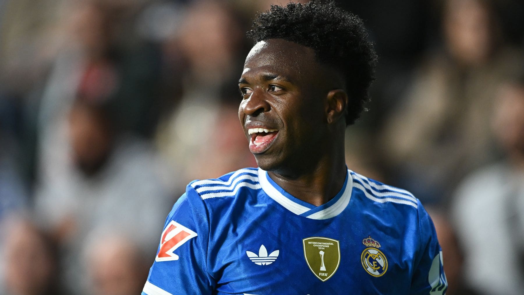 Renovación Vinicius