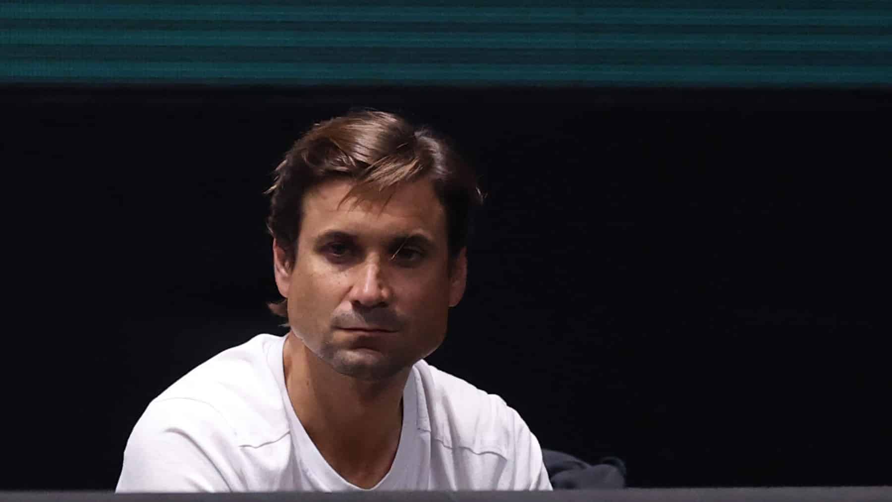 David Ferrer