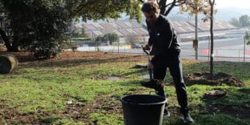 Fernando Alonso Aston Martin 2026