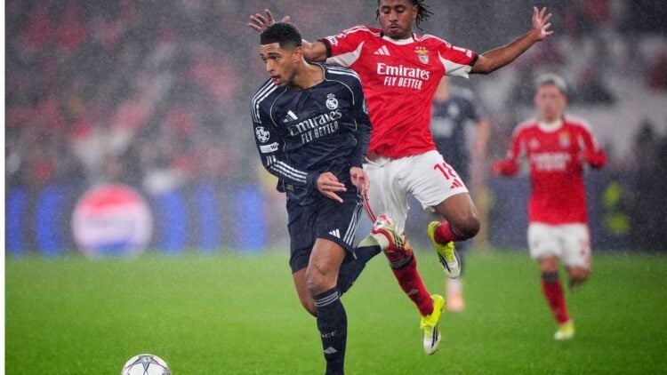 Jose Manuel Alvarez Rey/Getty Images